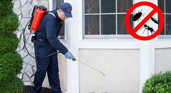 Mithatpaşa Kene İlaçlama böcek ilaçlama ve haşere kontrolü — ilaclama-tr.com